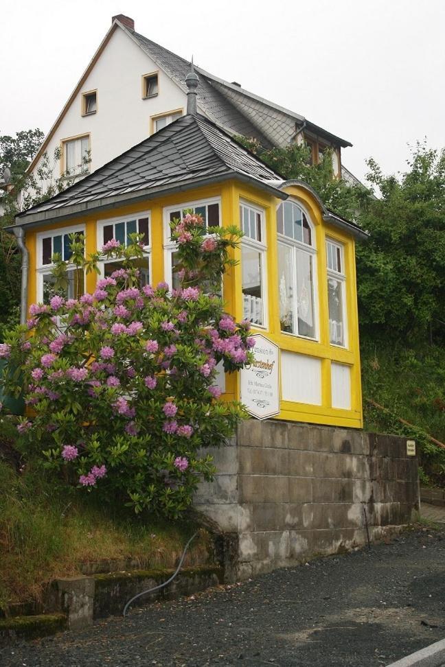 Pension Fuerstenhof Bad Elster Exteriér fotografie